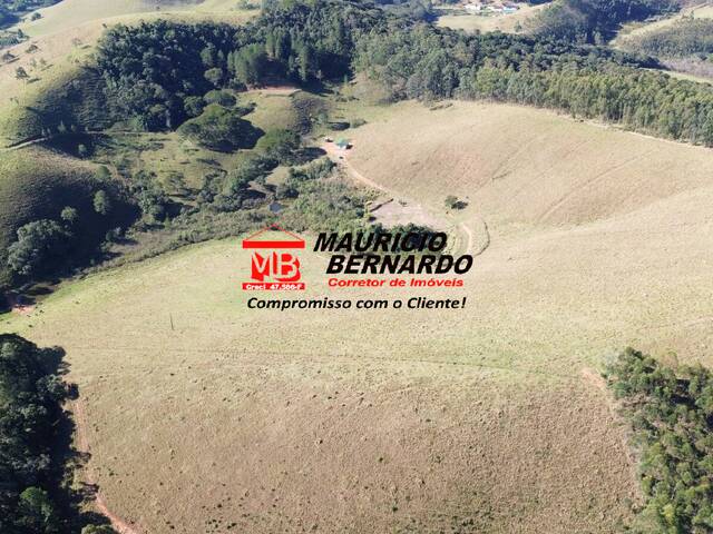 #2160 - Sítio para Venda em Joanópolis - SP - 1