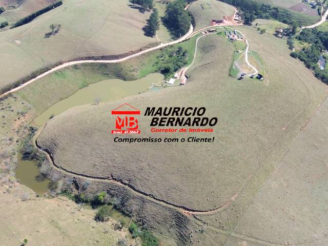 Fazenda para Venda em Guaratinguetá - 4
