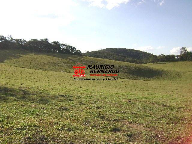 Terreno, 16 m² - Foto 1