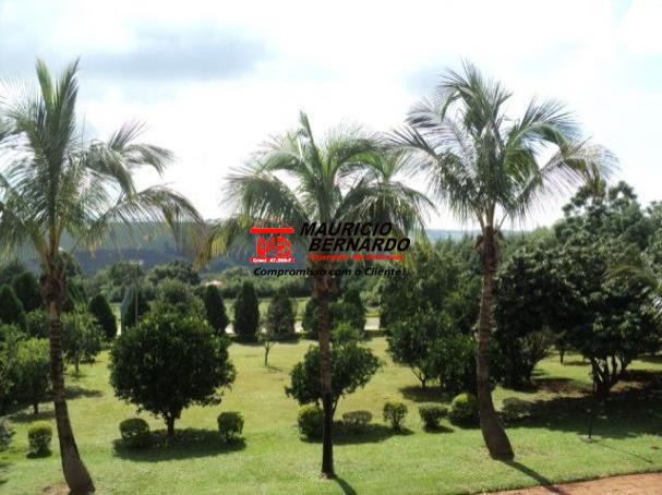 Terreno, 2 m² - Foto 19