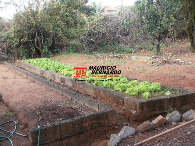 Chácara, 4 quartos, 5600 m² - Foto 13