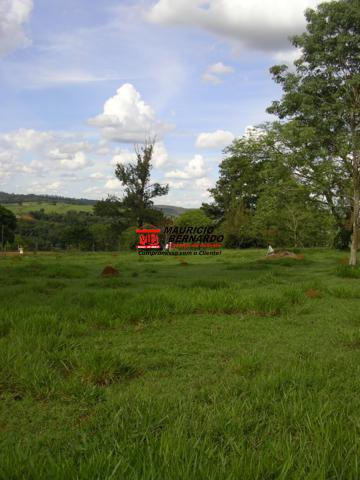 Terreno, 2 hectares - Foto 1