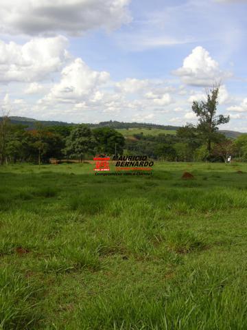 Terreno, 2 hectares - Foto 2