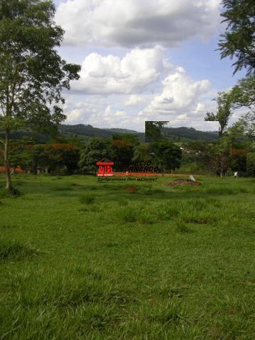 Terreno, 2 hectares - Foto 4