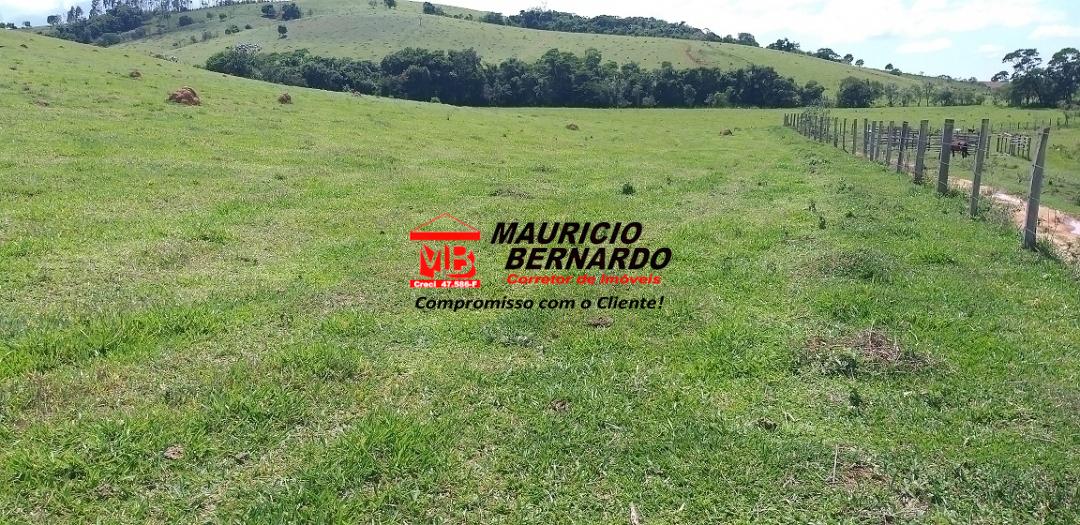 Terreno, 42 m² - Foto 1