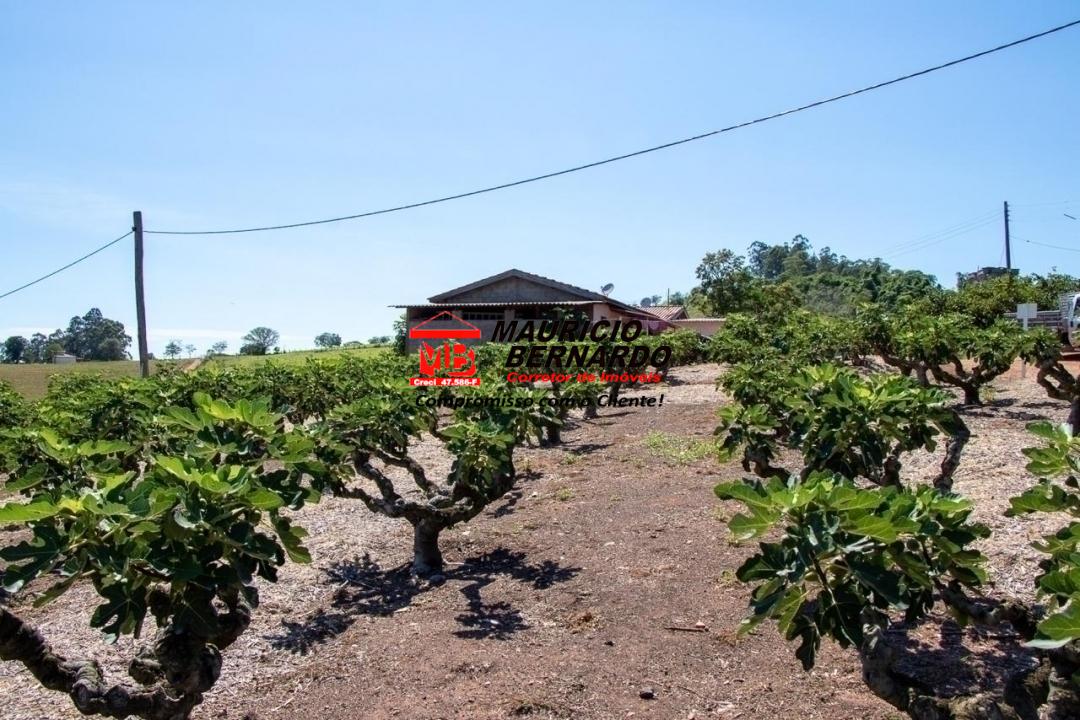 Terreno, 5 hectares - Foto 9