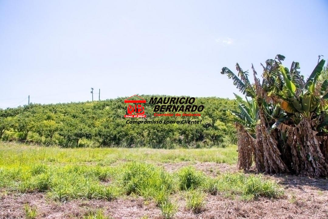 Terreno, 5 hectares - Foto 3