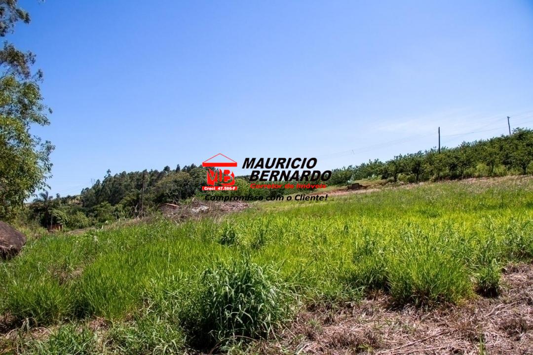 Terreno, 5 hectares - Foto 12