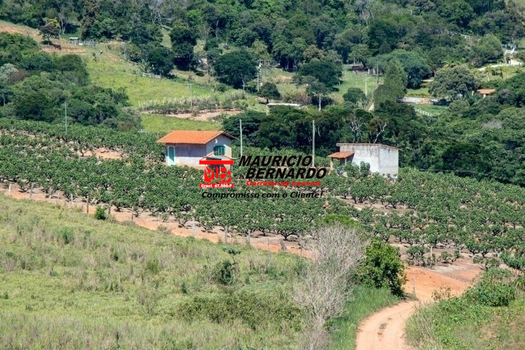 Terreno, 5 hectares - Foto 1