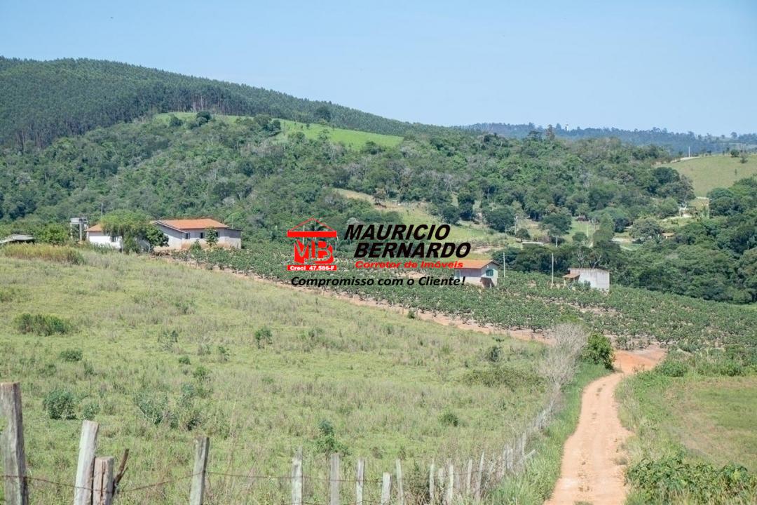 Terreno, 5 hectares - Foto 7