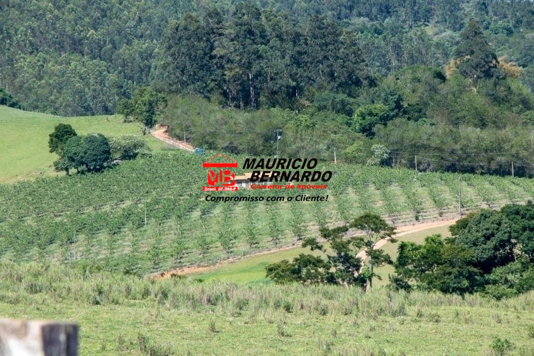 Terreno, 5 hectares - Foto 13