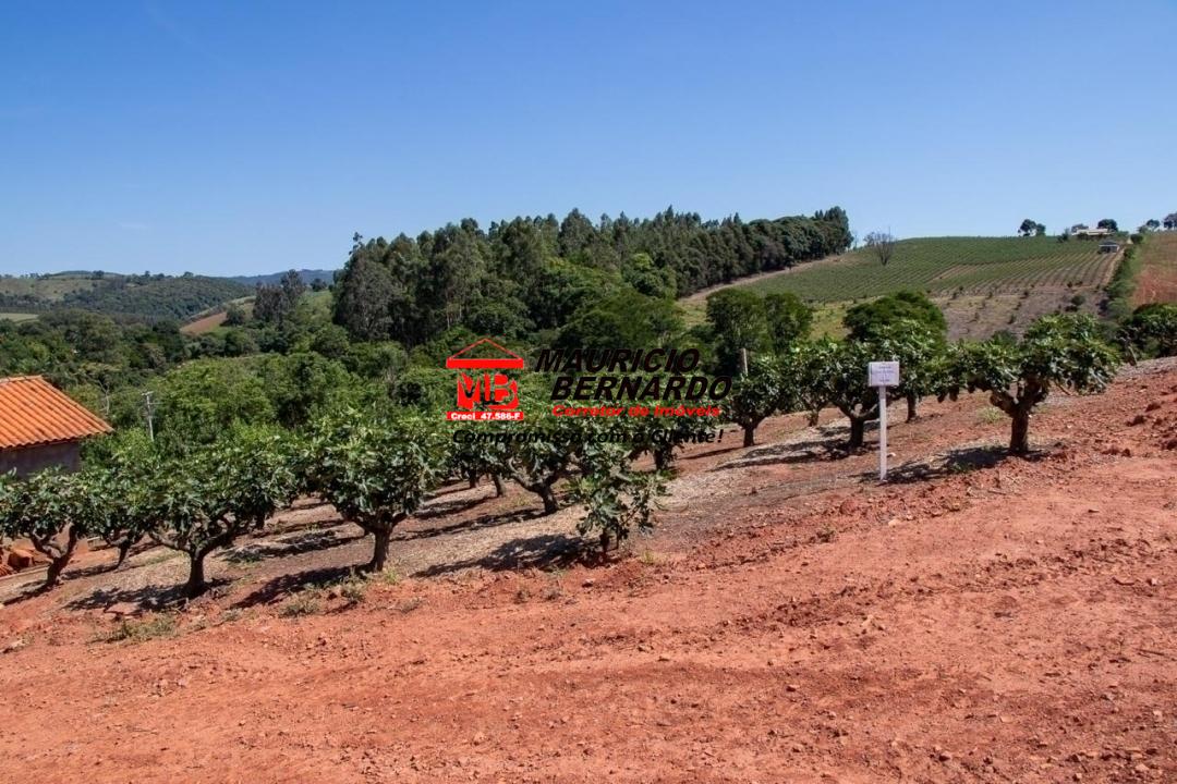 Terreno, 5 hectares - Foto 10