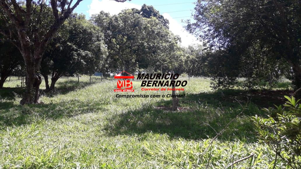 Terreno, 2 m² - Foto 11