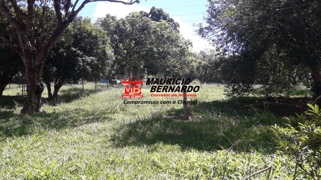 Terreno, 2 m² - Foto 7
