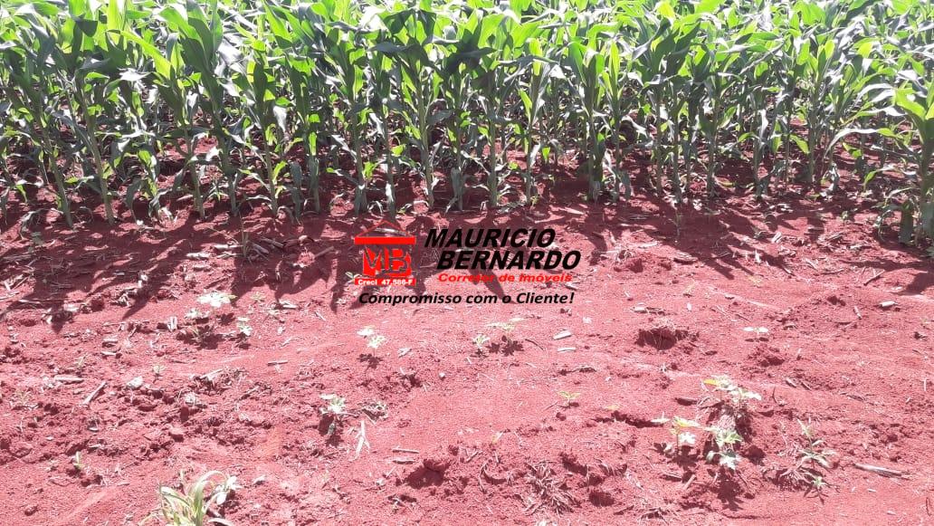 Terreno, 2 m² - Foto 16