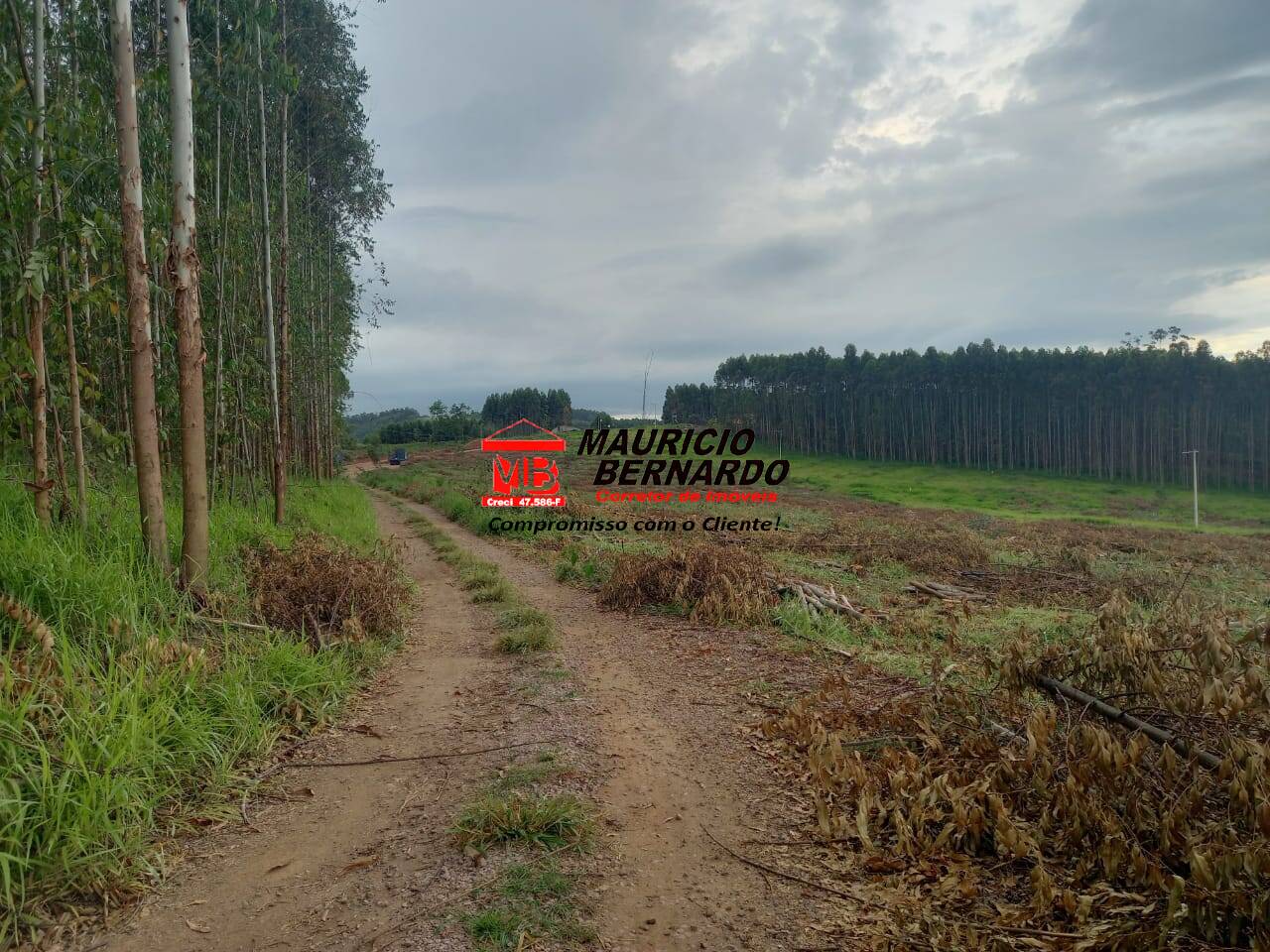 Terreno, 38 hectares - Foto 1