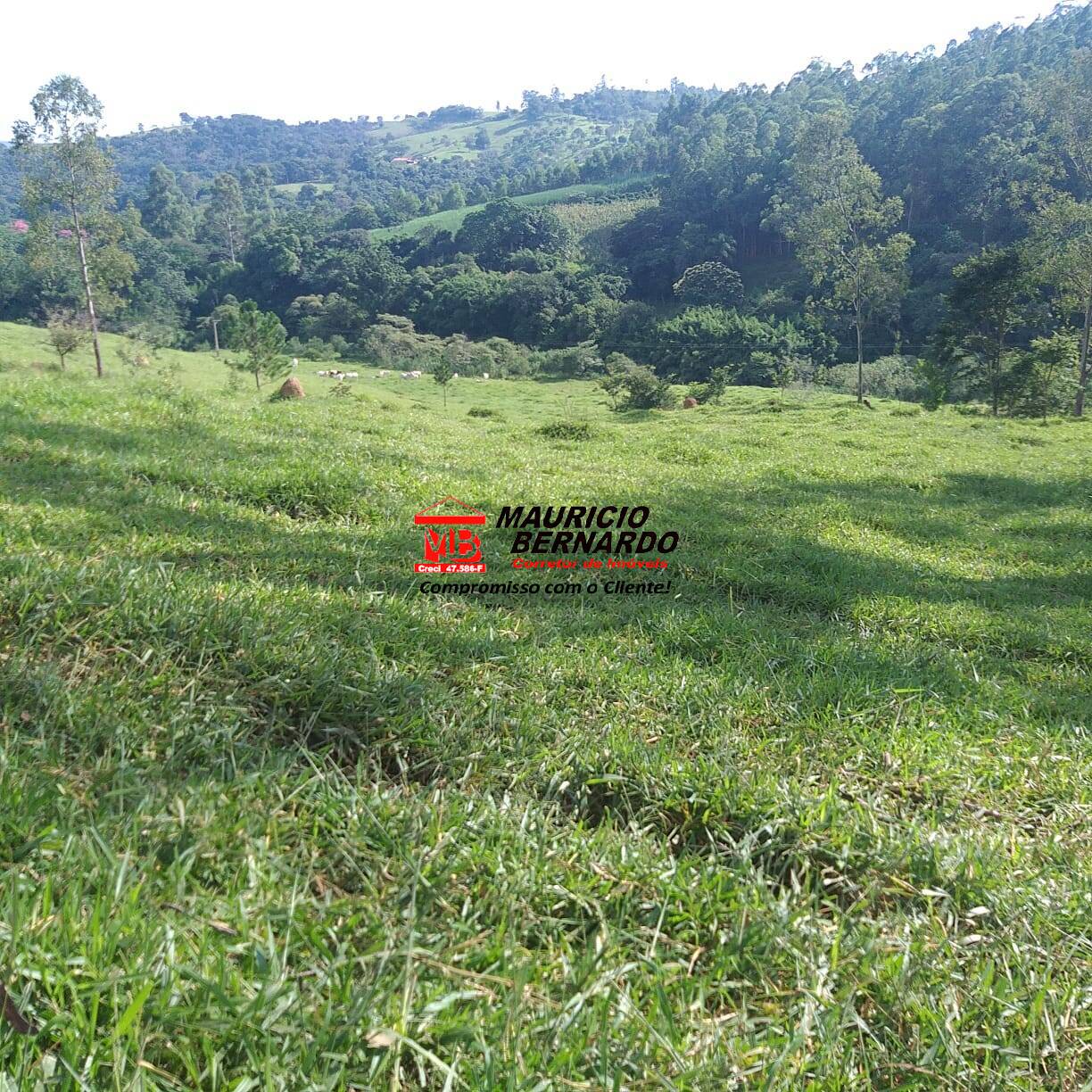 Fazenda, 36 m² - Foto 4