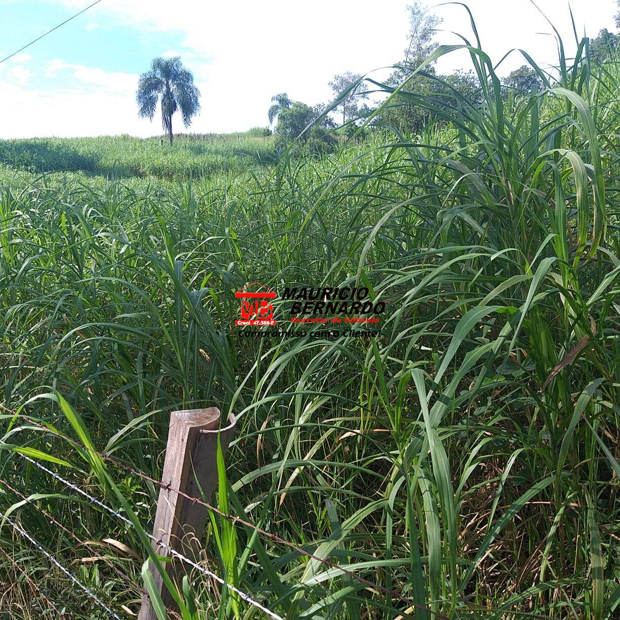 Fazenda, 36 m² - Foto 5