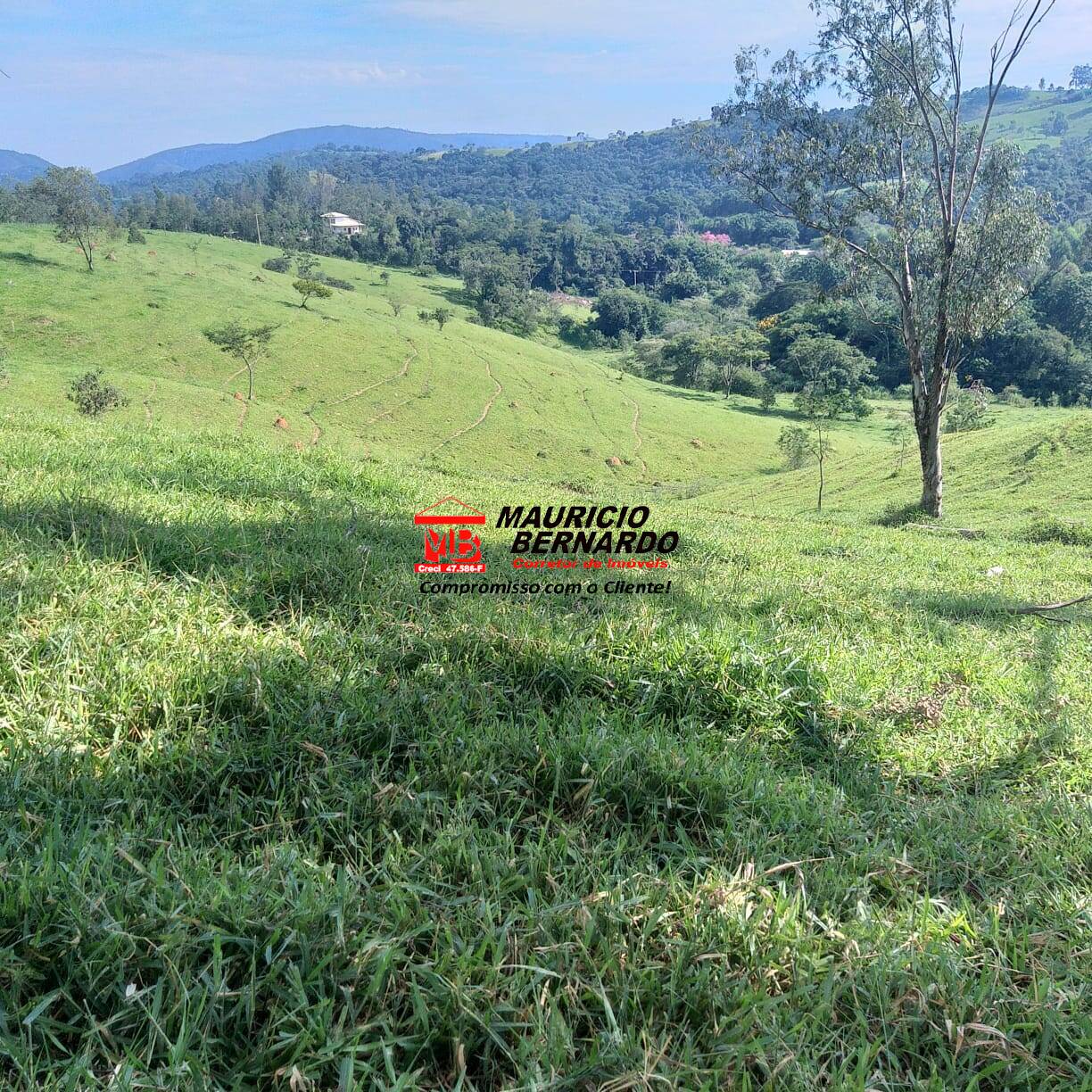 Fazenda, 36 m² - Foto 7