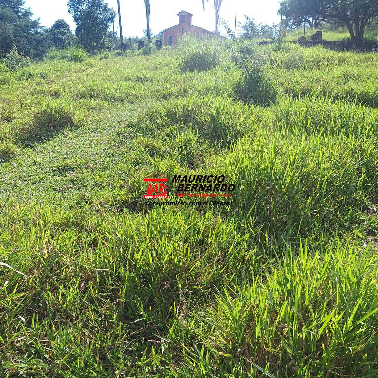 Fazenda, 36 m² - Foto 8