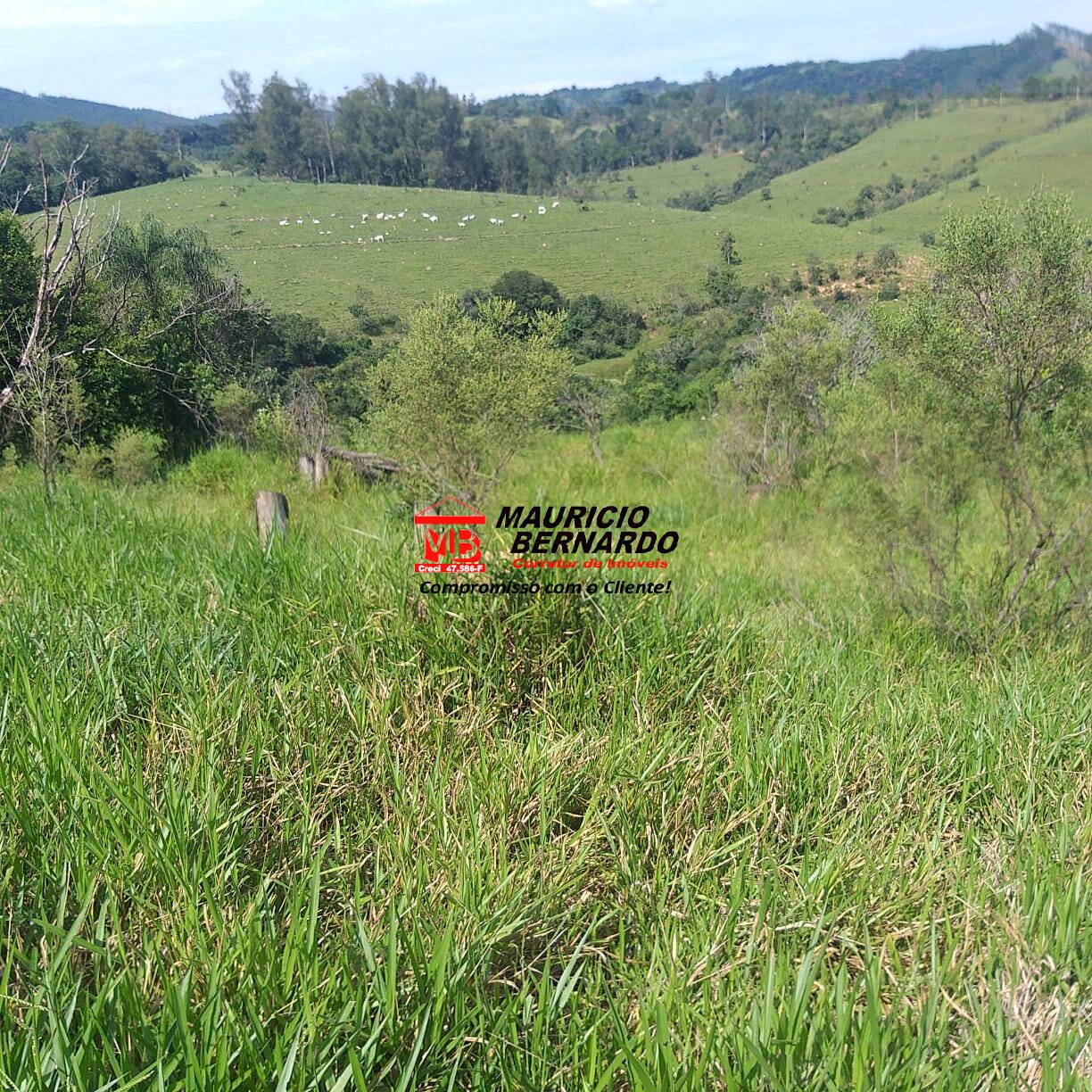 Fazenda, 36 m² - Foto 9