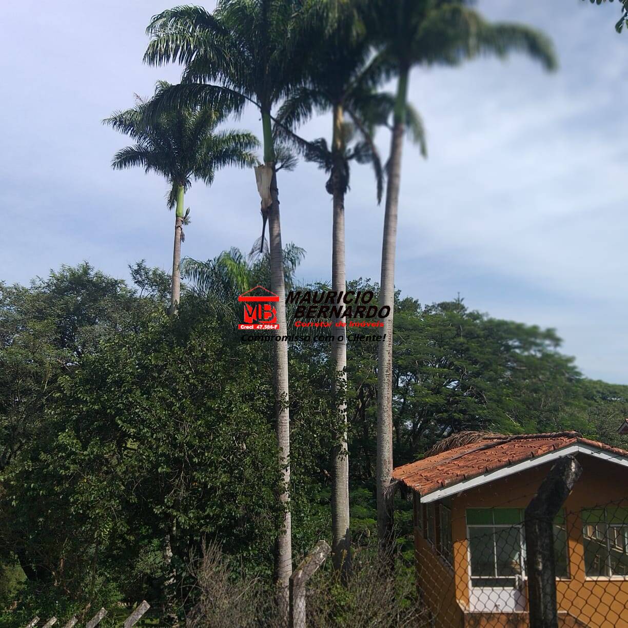 Fazenda, 36 m² - Foto 10