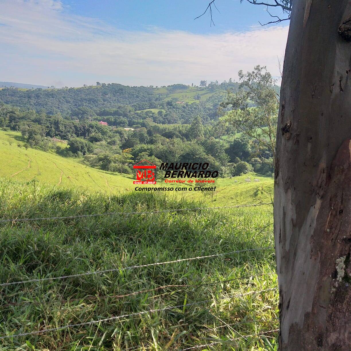 Fazenda, 36 m² - Foto 13