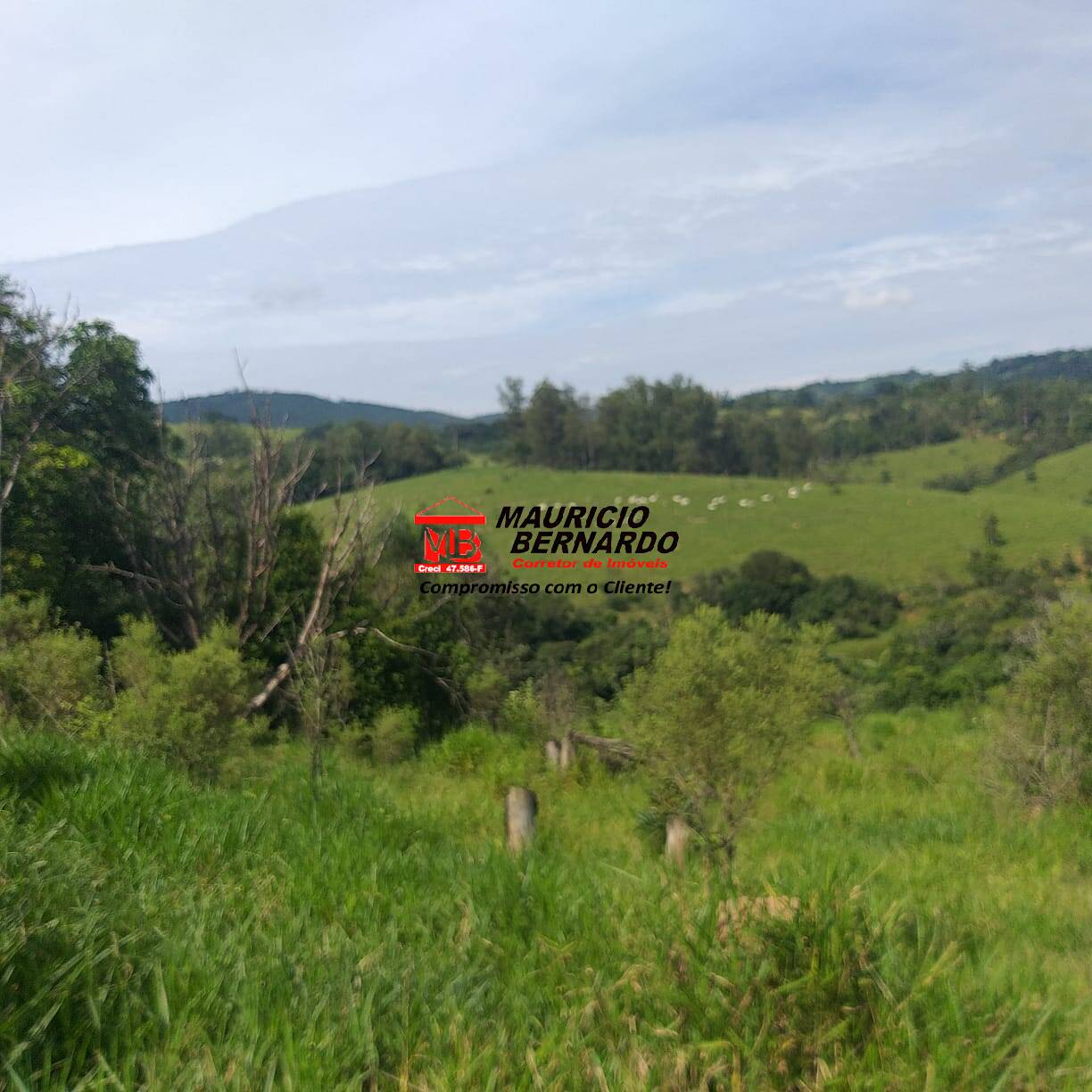 Fazenda, 36 m² - Foto 16