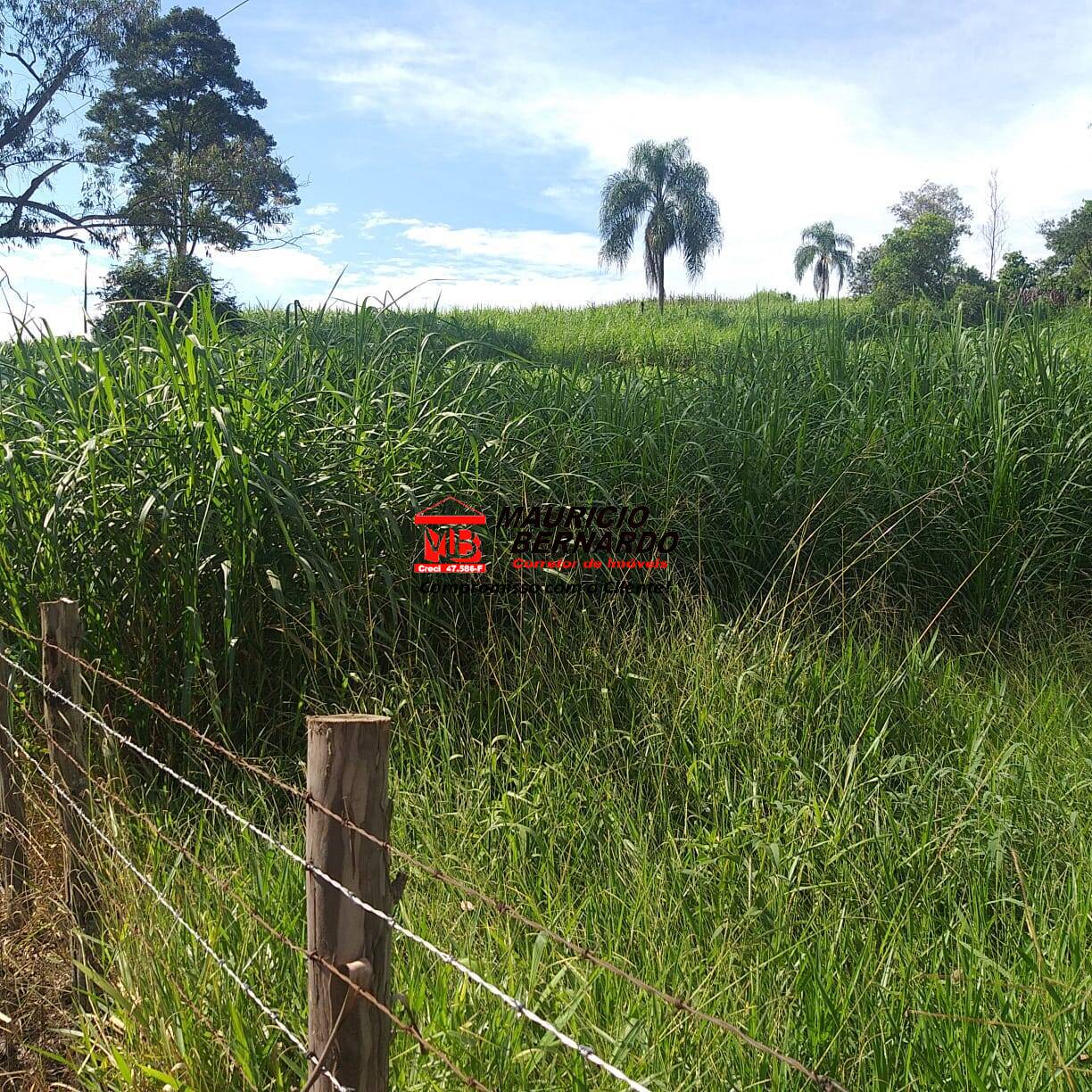 Fazenda, 36 m² - Foto 20