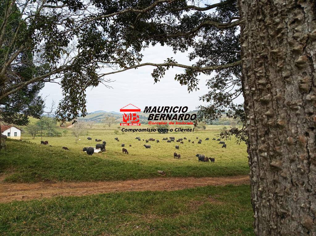 Terreno, 92 m² - Foto 7