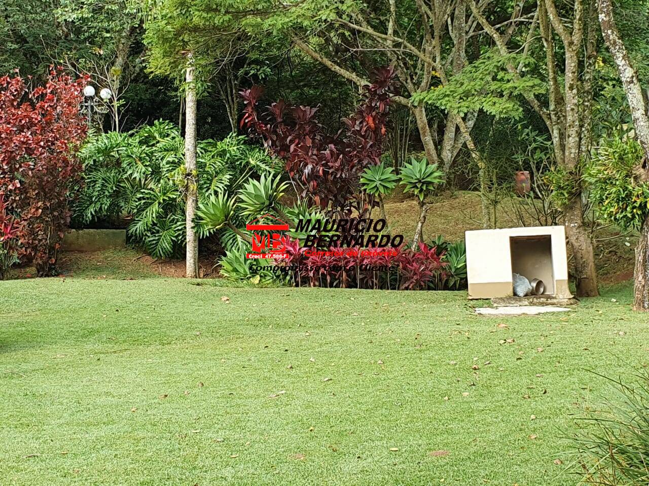 Sítio, 3 quartos, 835 m² - Foto 26