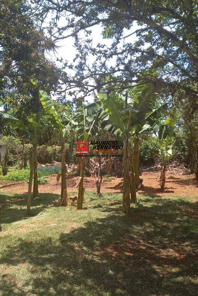 Chácara, 4 quartos, 5600 m² - Foto 47