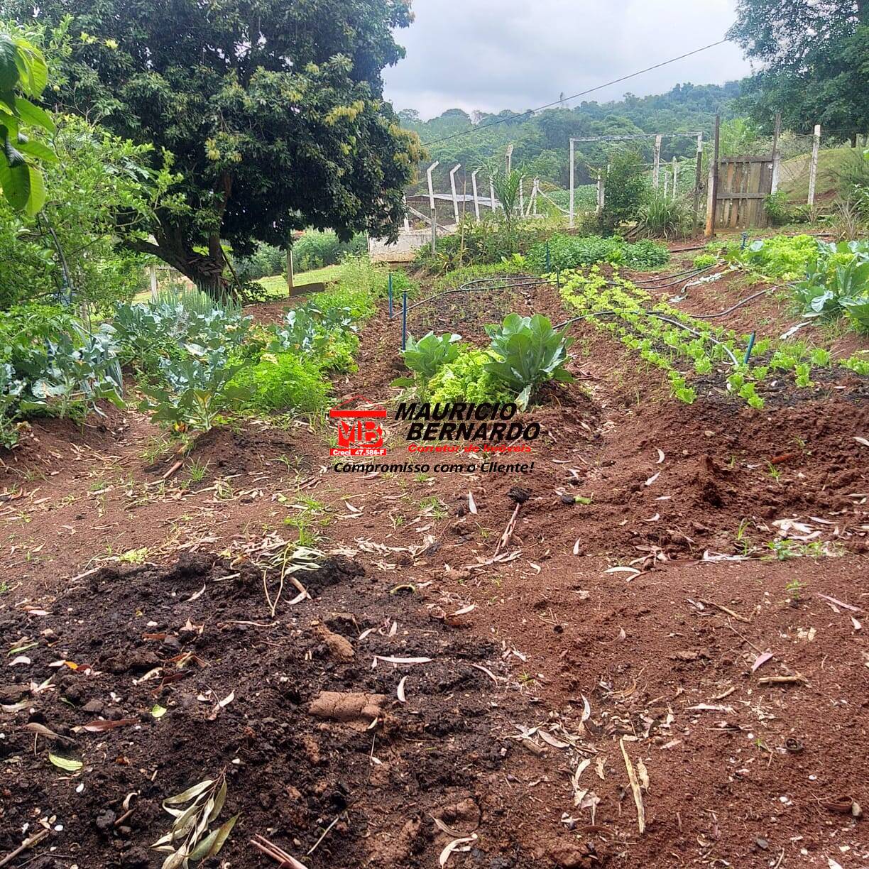 Terreno, 11 m² - Foto 7