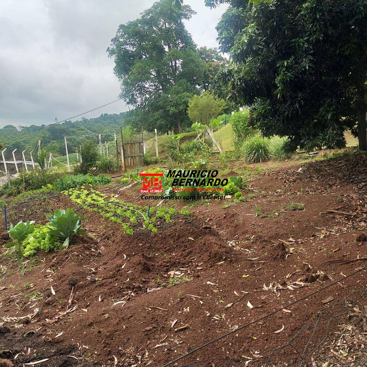 Terreno, 11 m² - Foto 9