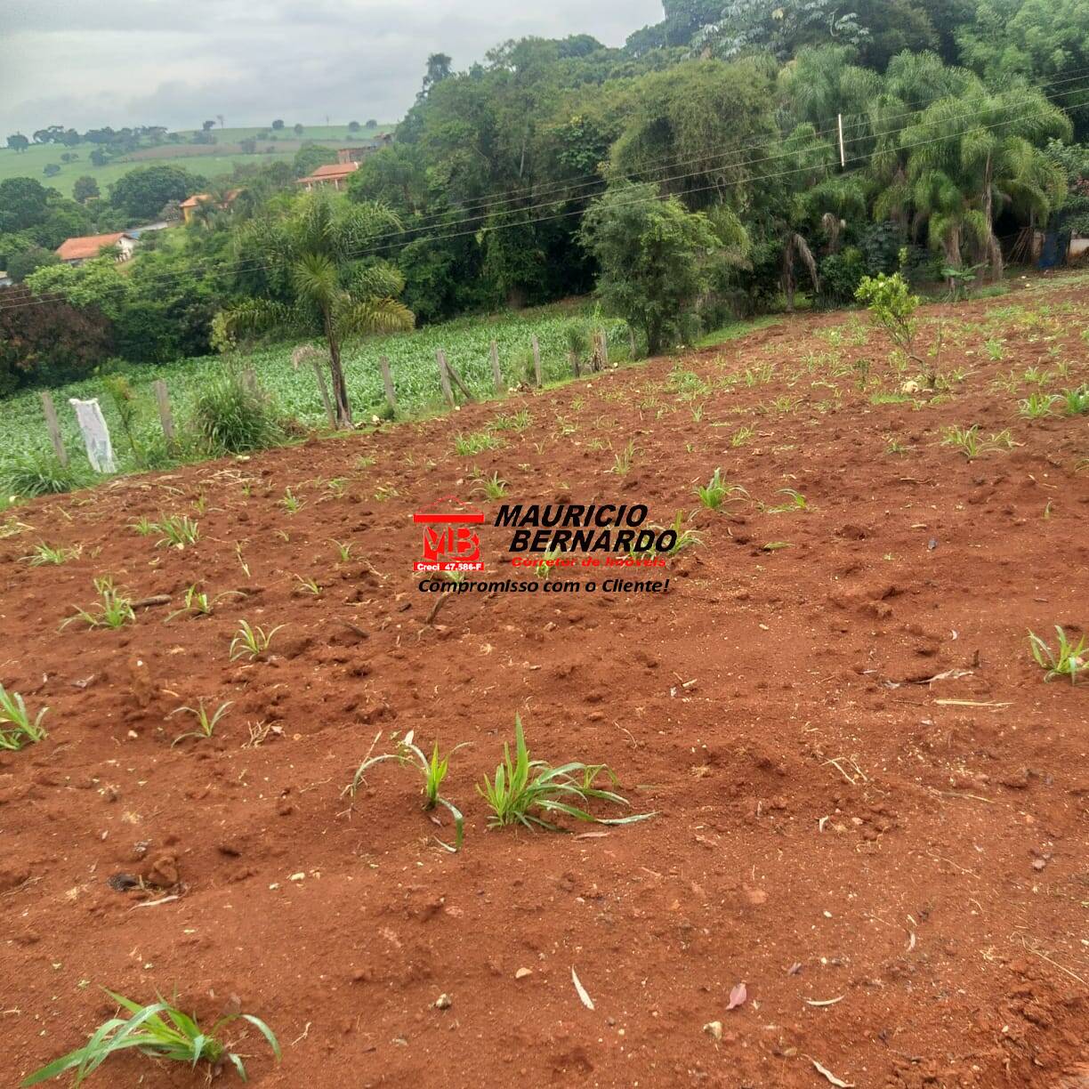 Terreno, 11 m² - Foto 13
