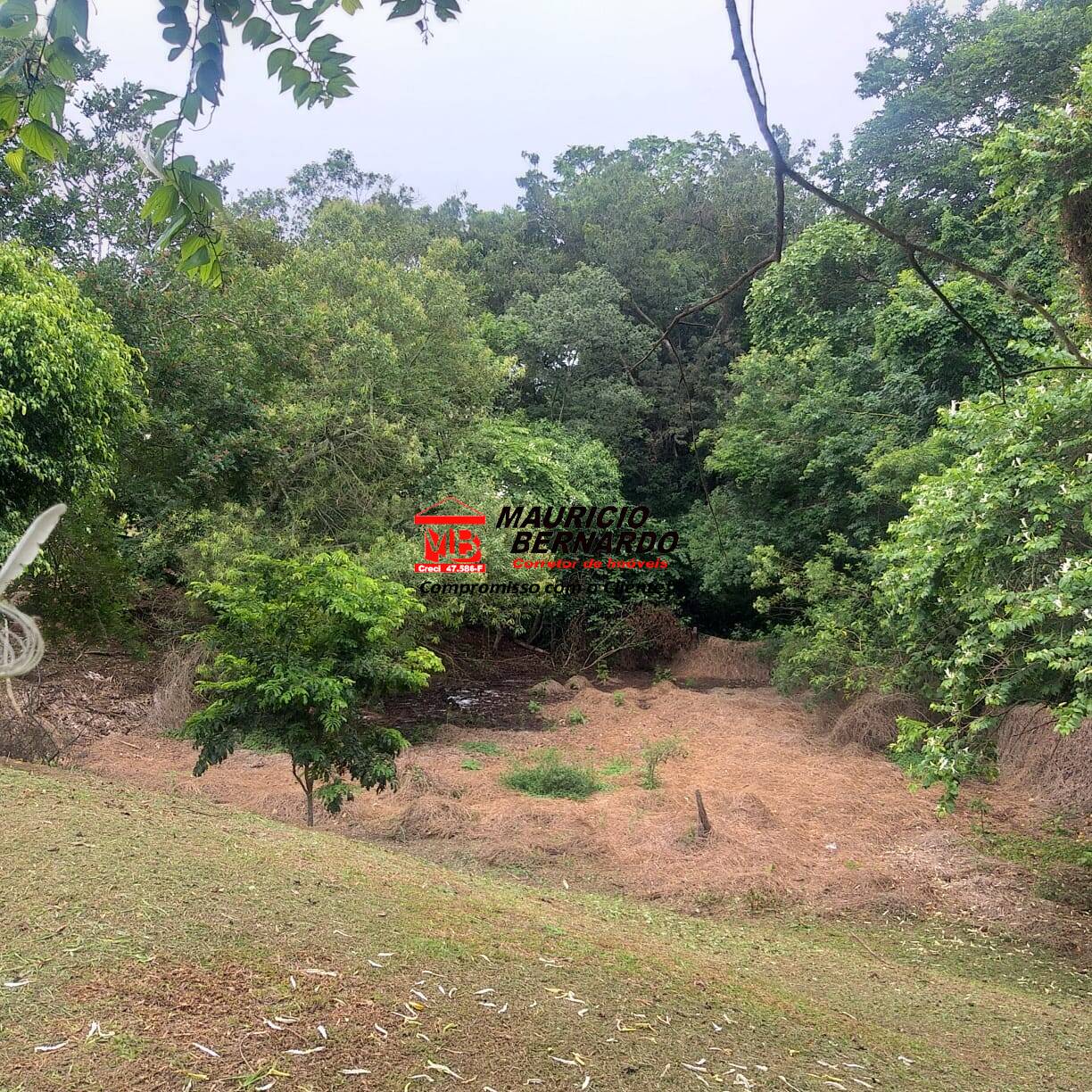 Terreno, 11 m² - Foto 15