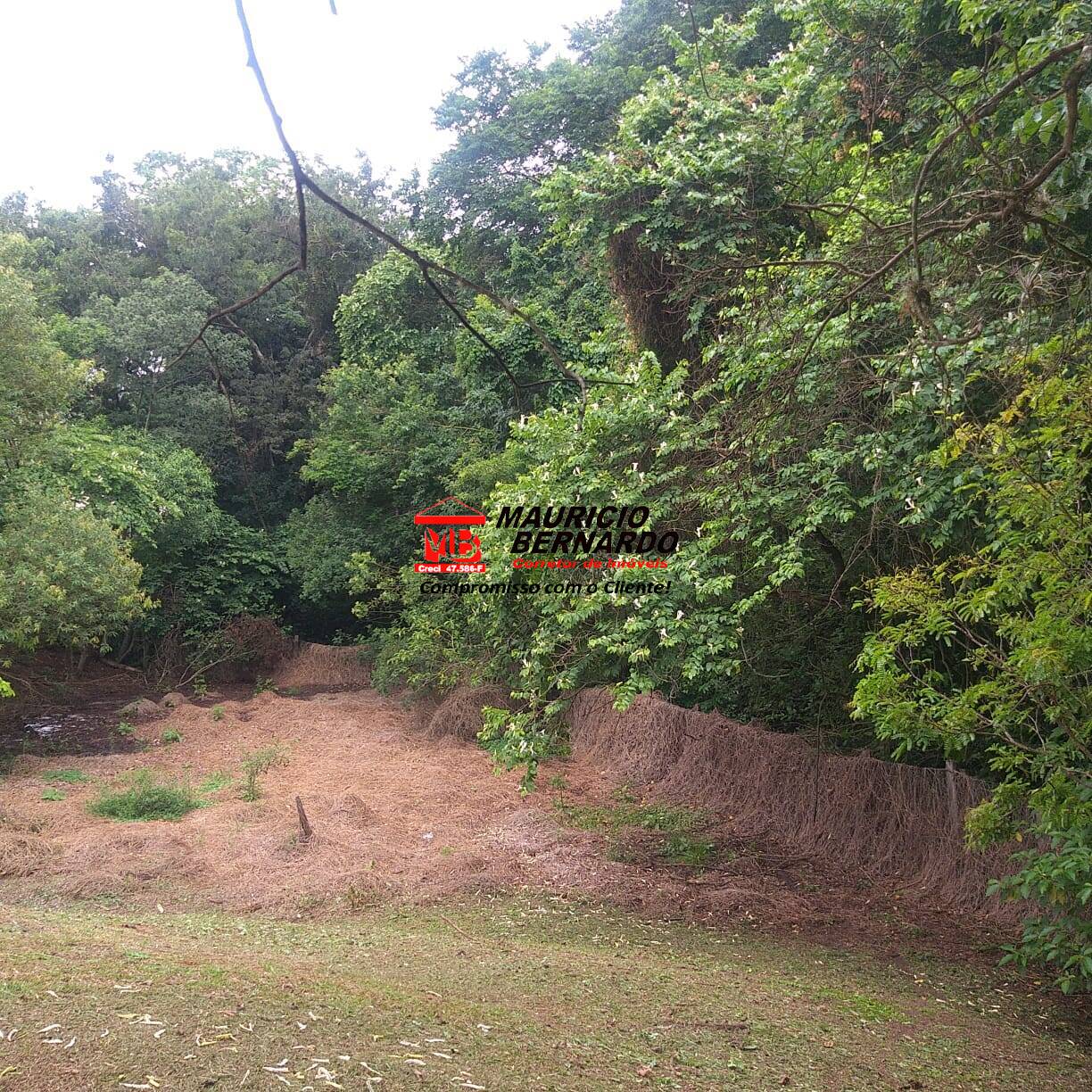 Terreno, 11 m² - Foto 18