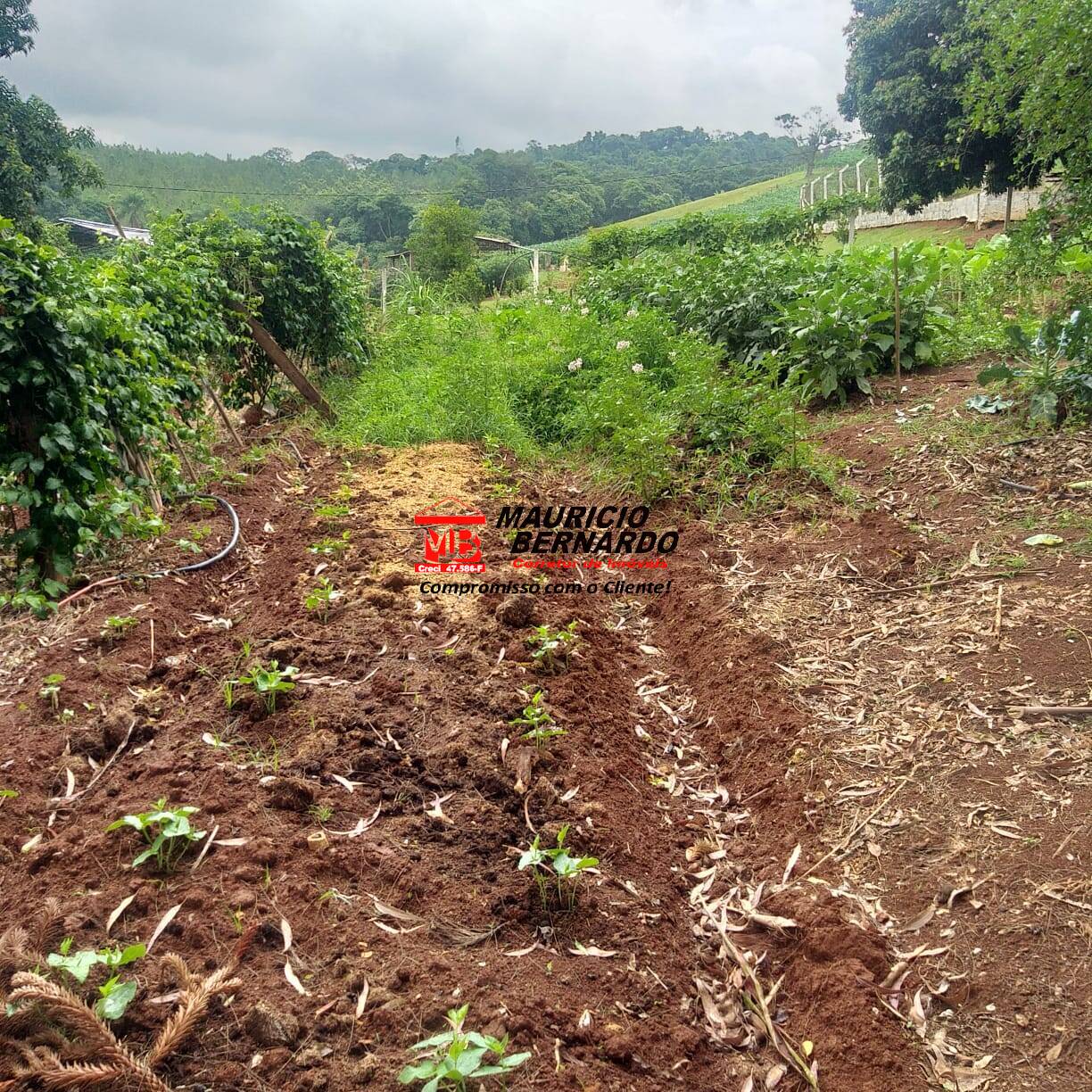 Terreno, 11 m² - Foto 22