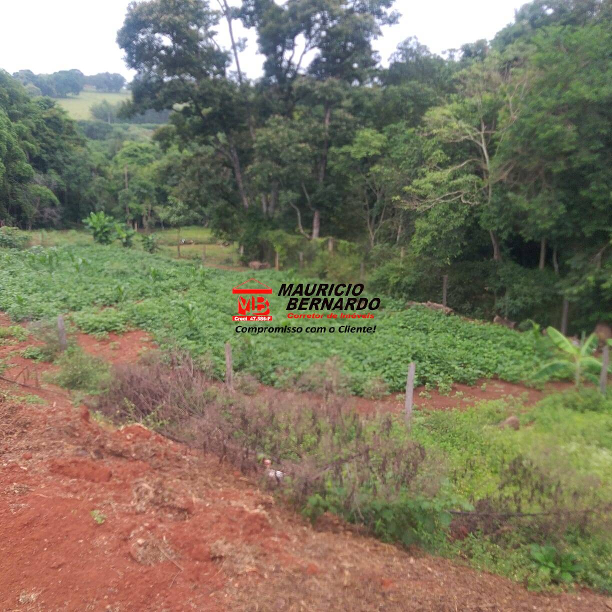Terreno, 11 m² - Foto 29