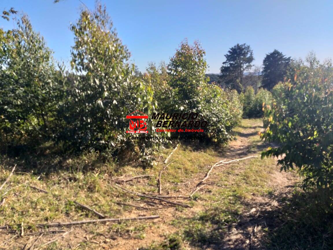 Terreno, 6 m² - Foto 12