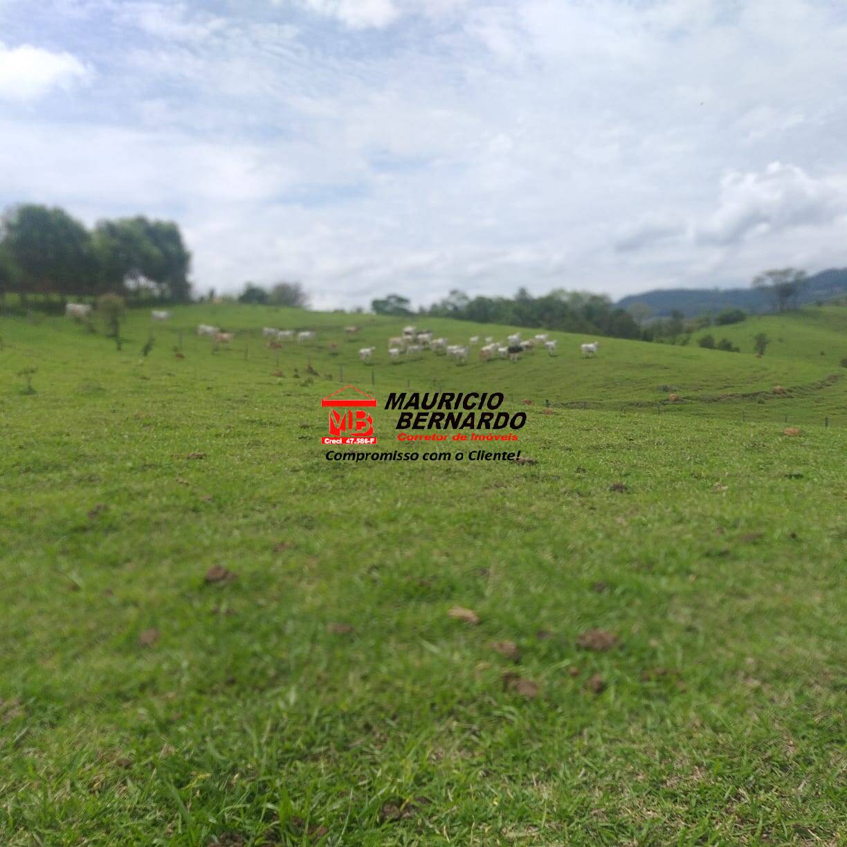 Terreno, 32 m² - Foto 3