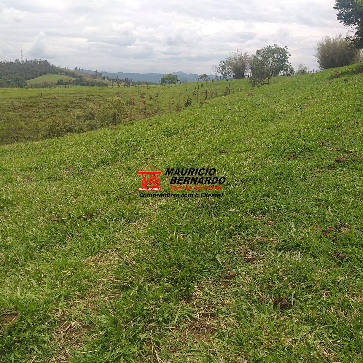 Terreno, 32 m² - Foto 5