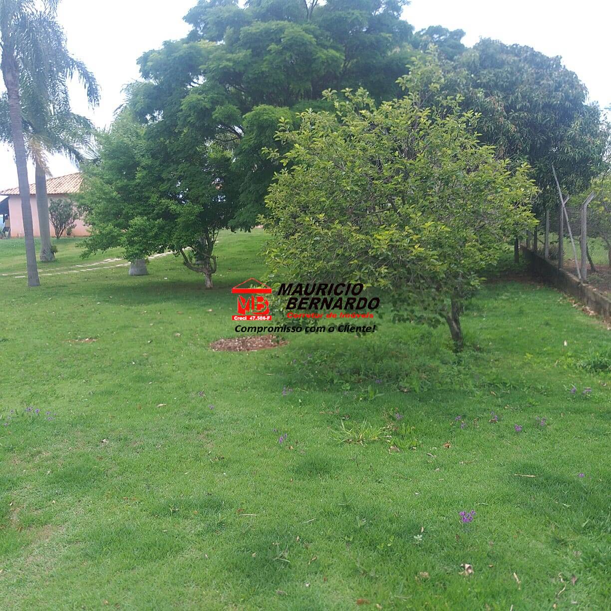 Terreno, 32 m² - Foto 9