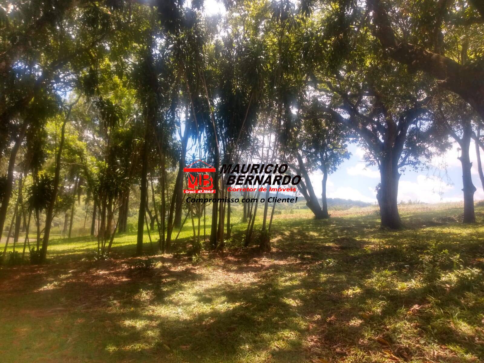 Terreno, 14 m² - Foto 11