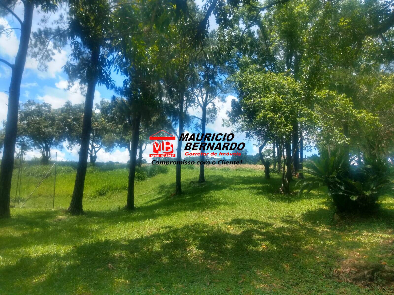 Terreno, 14 m² - Foto 14