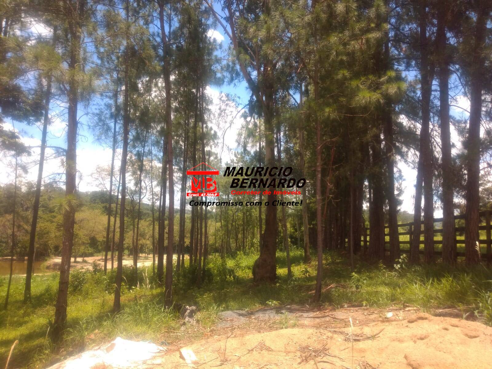 Terreno, 14 m² - Foto 61