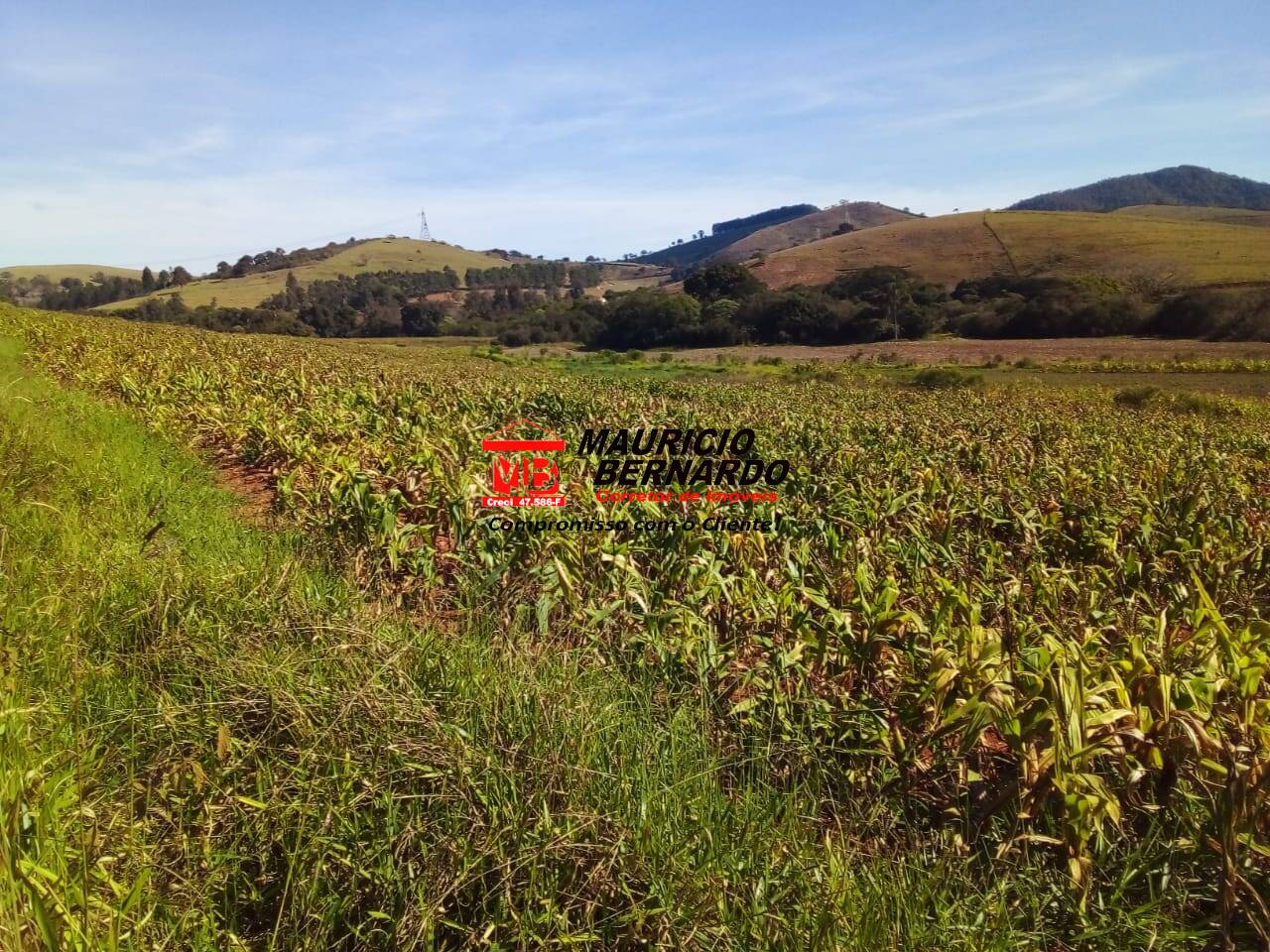 Terreno, 220 m² - Foto 6