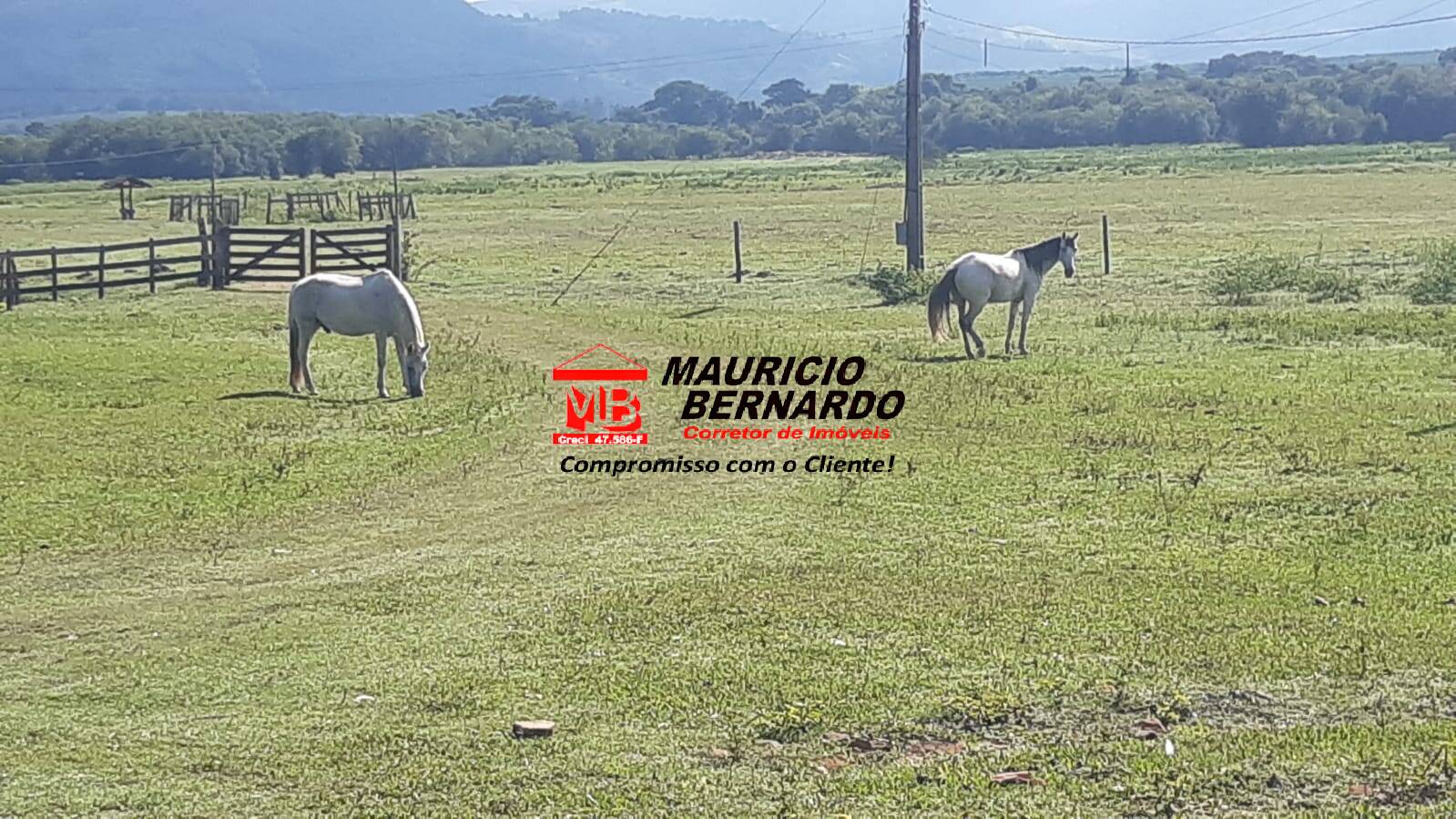Terreno, 220 m² - Foto 7