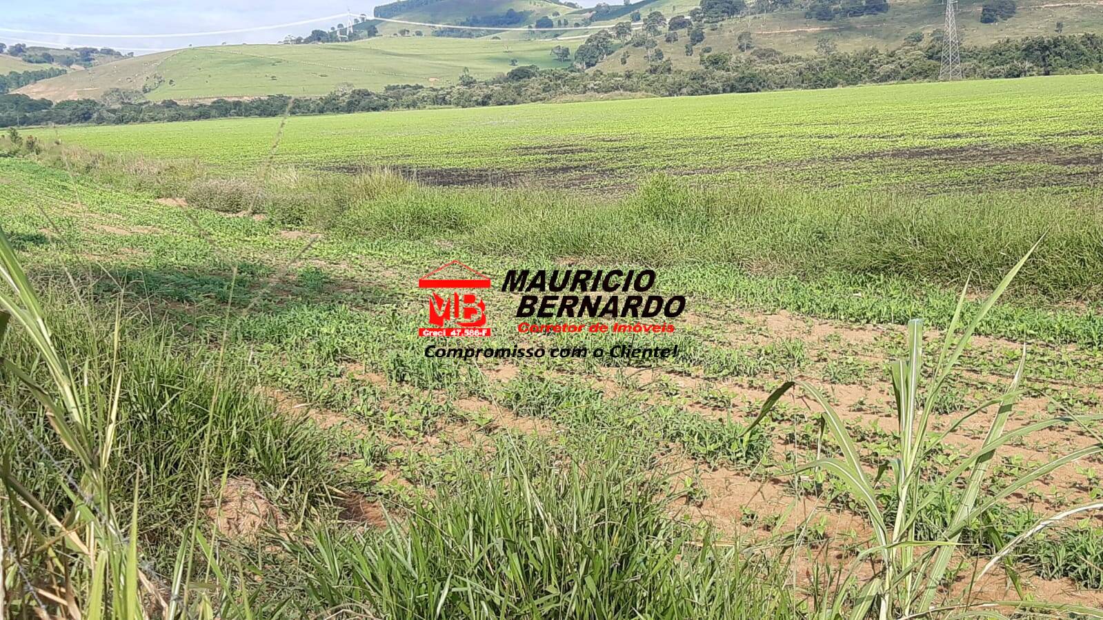 Terreno, 220 m² - Foto 9