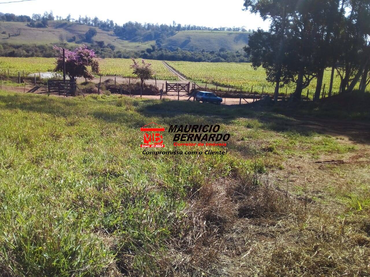 Terreno, 220 m² - Foto 11